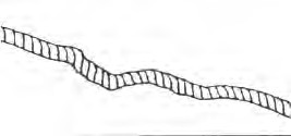A drawing of a rope Description automatically generated