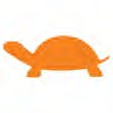 A orange turtle on a white background Description automatically generated